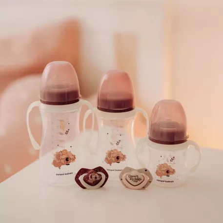 Canpol babies Fľaša proti kolike so svietiacou rúčkou EasyStart SLEEPY KOALA 120ml ružová