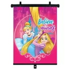 Disney clona na okno auta Princess